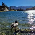 아파트 Superbe Avec Piscine Et Sauna *
