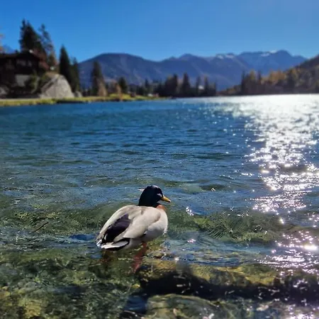 Daire Superbe Avec Piscine Et Sauna *