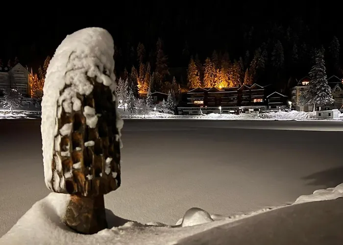 Apartamento Superbe Avec Piscine Et Sauna