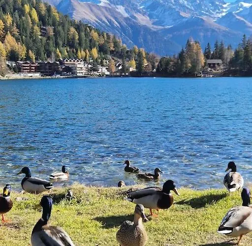 Superbe Avec Piscine Et Sauna Apartamento *