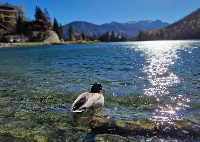 Apartamento Superbe Avec Piscine Et Sauna *