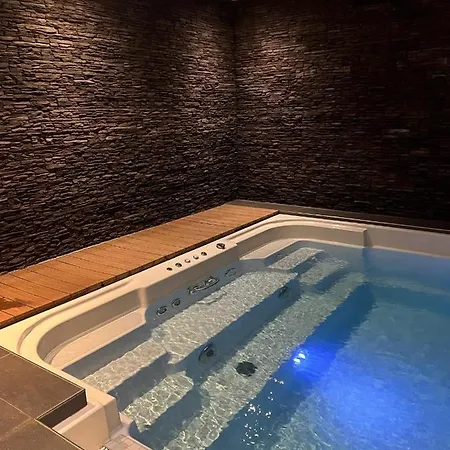 Apartment Superbe Avec Piscine Et Sauna Champex-Lac